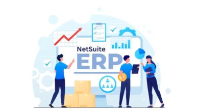 NetSuite cost